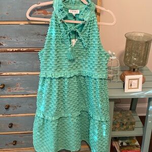 NEW w/tag!! THML sz XS mint green lined dress. New w/tags